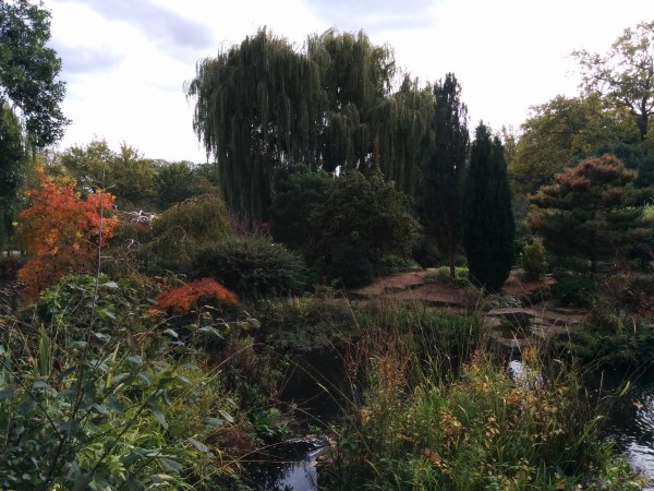 Japanese-Garden-Regents-Park