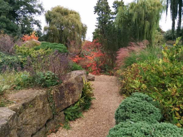 Japanese-garden-island