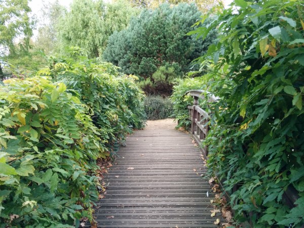 bridge-to-island